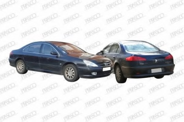 PRASCO PG6001900 Silencing Material, engine bay